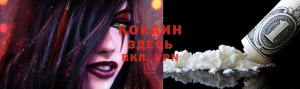 ешки Аркадак