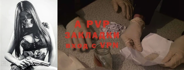 гашик Арсеньев