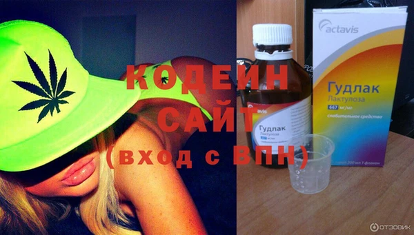 гашик Арсеньев
