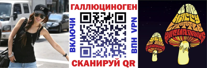 мориарти телеграм  Ейск  Псилоцибиновые грибы Psilocybine cubensis 