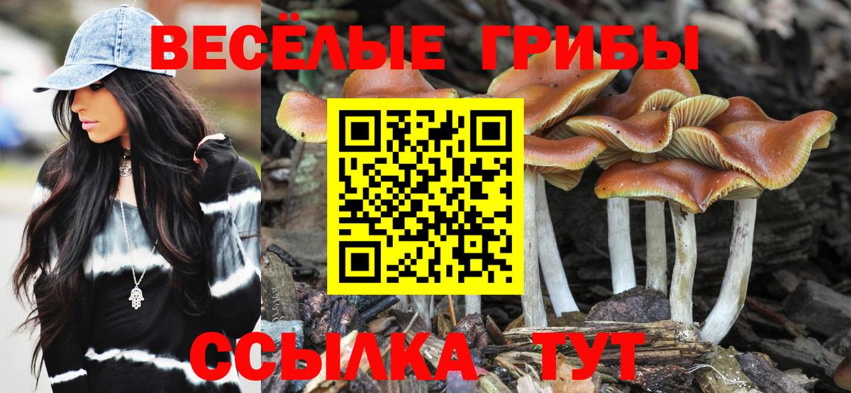 Псилоцибиновые грибы Cubensis Ейск
